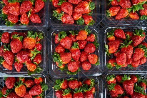 草莓在塑料容器上的顶视图照片 · 免费素材图片