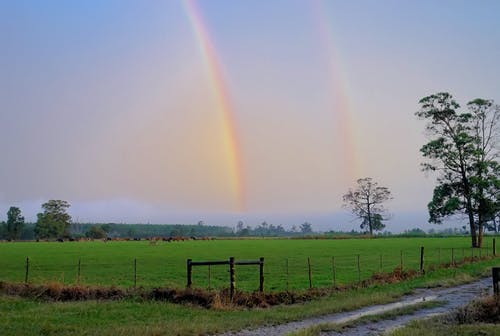 绿草草坪上的彩虹 · 免费素材图片