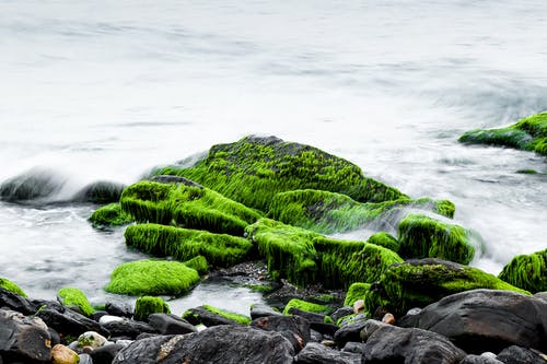 海水溅在绿色和黑色的岩石上 · 免费素材图片