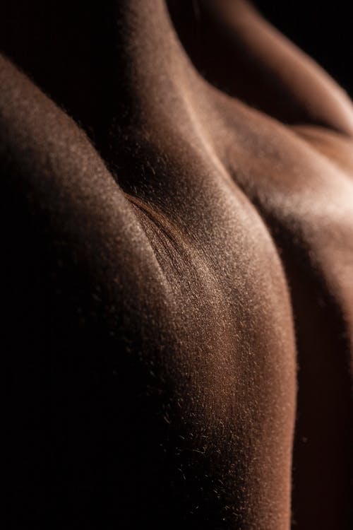 人的背部特写照片 · 免费素材图片