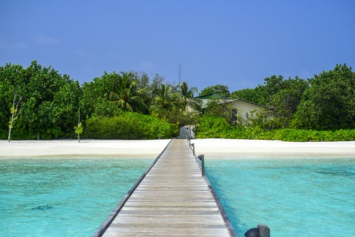 棕色木码头 · 免费素材图片