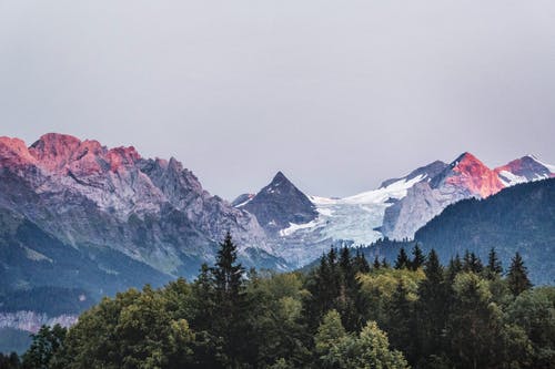 森林鸟瞰图 · 免费素材图片