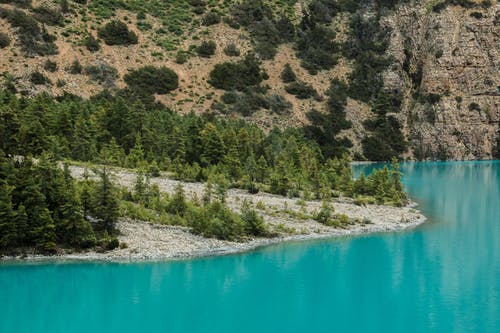 湖泊和树木的风景摄影 · 免费素材图片