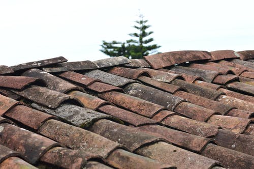 棕色屋顶板的选择性聚焦照片 · 免费素材图片