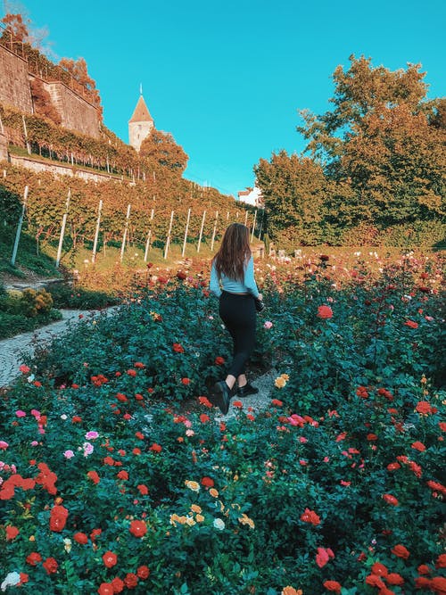 女人被开花植物包围 · 免费素材图片