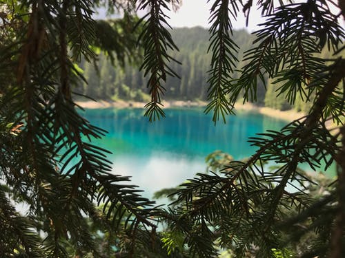 湖泊和树木 · 免费素材图片