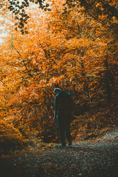 男子站在树木附近的道路上 · 免费素材图片