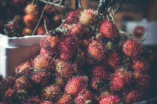 红毛丹水果的选择性聚焦摄影 · 免费素材图片