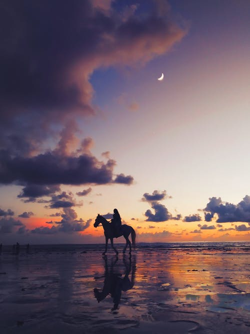 人骑着马的剪影照片 · 免费素材图片