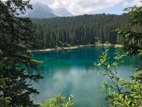 水草树木景观摄影 · 免费素材图片