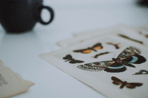 黑色陶瓷茶杯附近的纸上什锦的图形蝴蝶 · 免费素材图片