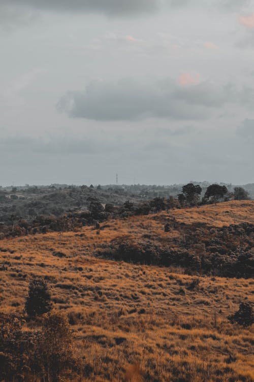 风景摄影 · 免费素材图片