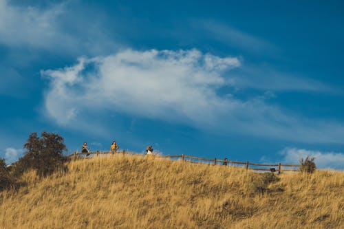 四人站在山顶的栅栏 · 免费素材图片