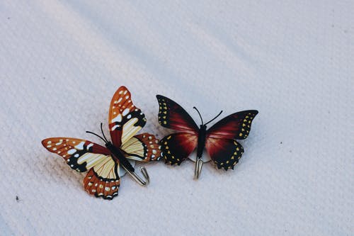 白色亚麻棕色和黑色蝴蝶淋浴帘挂钩 · 免费素材图片