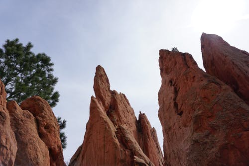 落基山脉附近的绿树 · 免费素材图片
