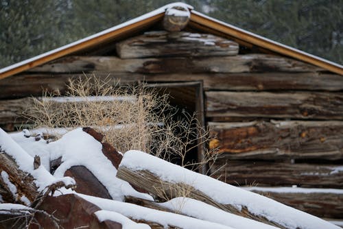 棕色原木覆盖着雪 · 免费素材图片
