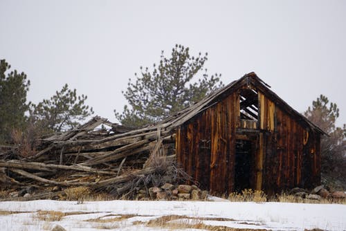 树木残破的房子 · 免费素材图片