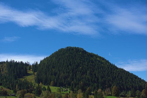 杉树山上的照片 · 免费素材图片