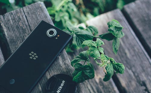 在木质表面上的黑莓手机 · 免费素材图片
