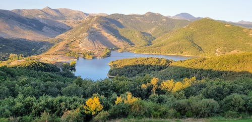 绿树环抱的湖泊 · 免费素材图片