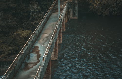 树木附近的混凝土桥 · 免费素材图片