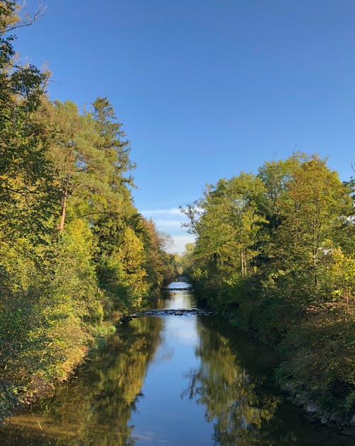 树木之间的河照片 · 免费素材图片