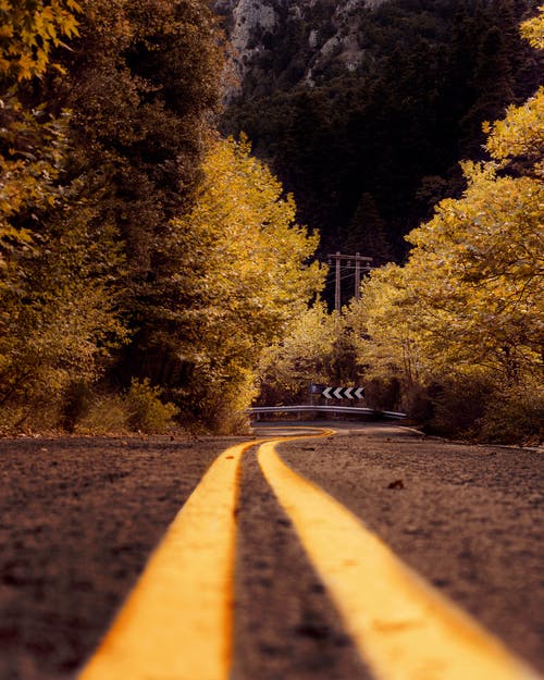 树木之间的柏油马路棕褐色摄影 · 免费素材图片