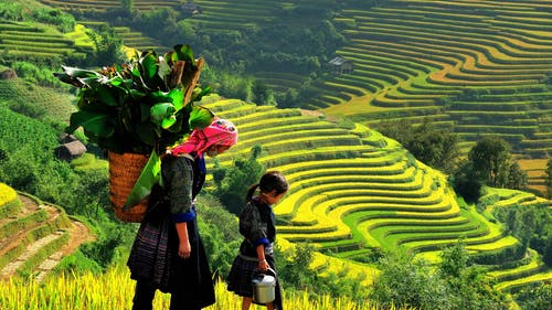 女人和女孩在banaue水稻梯田散步 · 免费素材图片