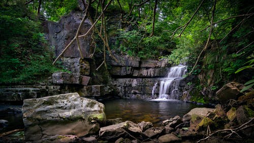 森林瀑布 · 免费素材图片