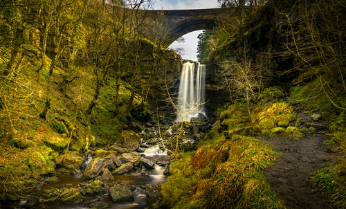 树木环绕的桥附近的瀑布 · 免费素材图片