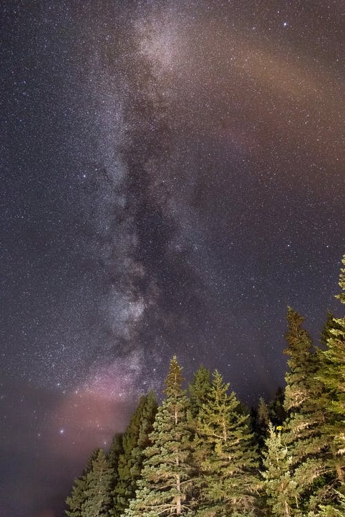 有关galaxy, 勘探, 夜森林的免费素材图片