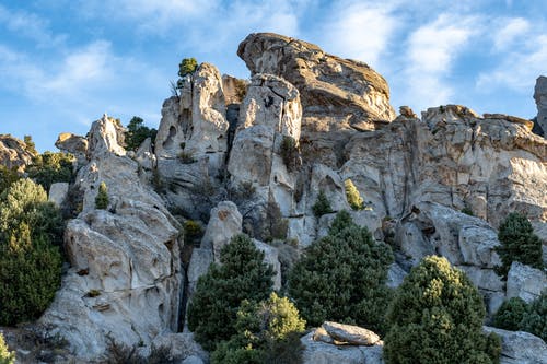 灰色的山崖与绿色的植物 · 免费素材图片