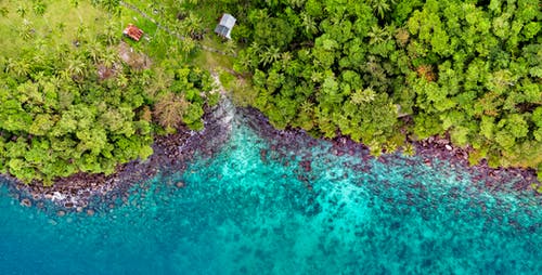 鸟瞰鸟瞰图 · 免费素材图片