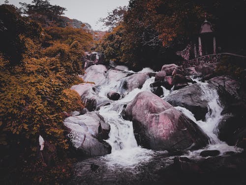 树木环绕的瀑布的照片 · 免费素材图片