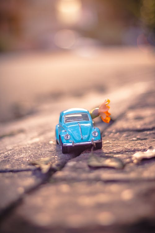 选择性聚焦摄影中的蓝色大众甲壳虫双门轿跑车 · 免费素材图片