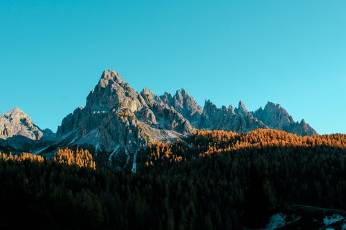 灰色山附近的棕色树 · 免费素材图片