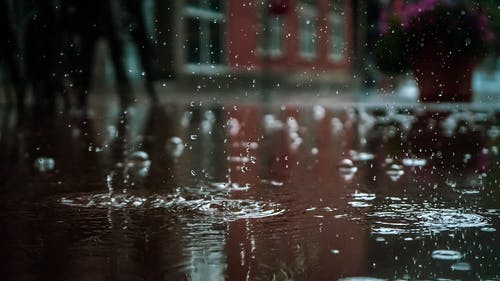 雨滴 · 免费素材图片