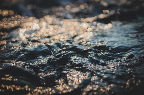 水体的选择性聚焦摄影 · 免费素材图片