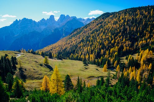 绿山风景摄影 · 免费素材图片