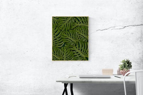 镶嵌在墙上的矩形绿色瑞士奶酪叶子的植物照片 · 免费素材图片
