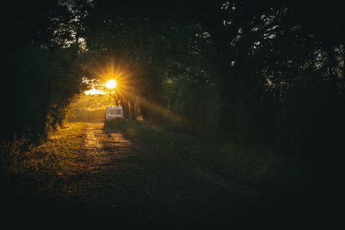 阳光 · 免费素材图片