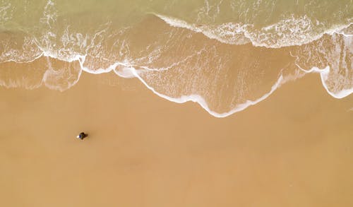 海滨的顶视图照片 · 免费素材图片