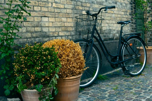 黑色通勤者自行车靠近花盆 · 免费素材图片
