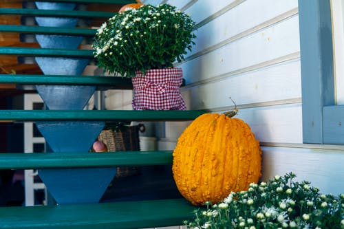 在绿色的木制楼梯上的橙色南瓜 · 免费素材图片