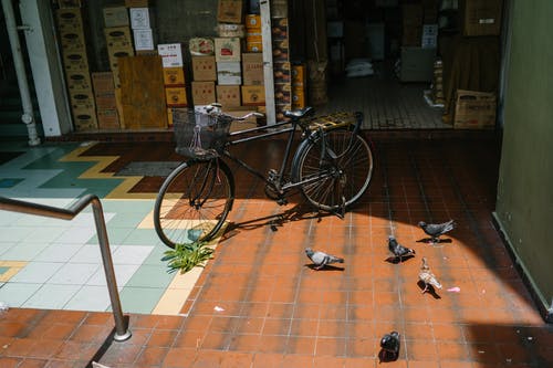 黑色通勤自行车停在前面 · 免费素材图片