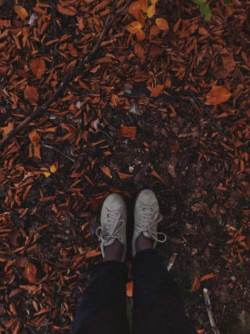 穿着系带运动鞋的人 · 免费素材图片