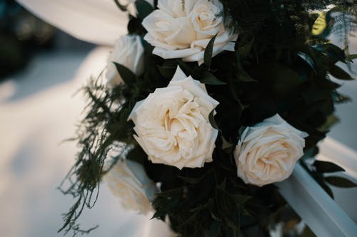 白玫瑰鲜花花束 · 免费素材图片