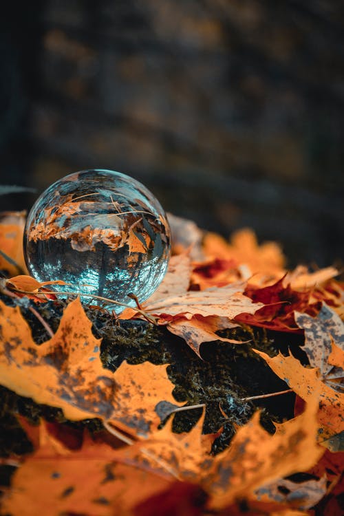 枫叶圆透明球 · 免费素材图片