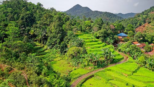 梯田景观 · 免费素材图片