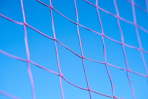 紫色排球网 · 免费素材图片